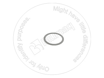 0730107165 OR ШАЙБА