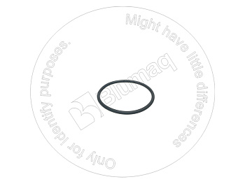 G406 ST КОЛЬЦО КРУГЛОГО СЕЧЕНИЯ