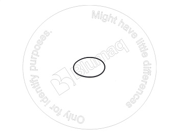 5W4819 ST КОЛЬЦО КРУГЛОГО СЕЧЕНИЯ