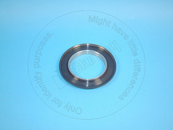 VOE4782565 ST САЛЬНИК