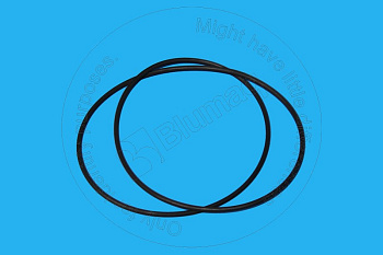 1254189 ST КОЛЬЦО КРУГЛОГО СЕЧЕНИЯ