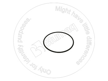 4D0855 BQ КОЛЬЦО КРУГЛОГО СЕЧЕНИЯ