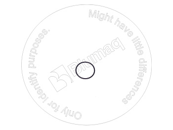 0781954 ST КОЛЬЦО КРУГЛОГО СЕЧЕНИЯ