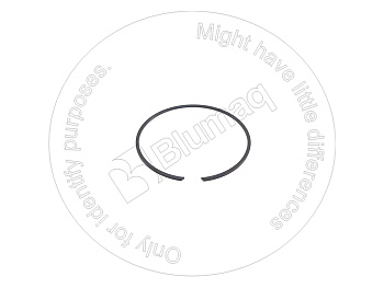 0717913114 OE ПРУЖИННОЕ КОЛЬЦО