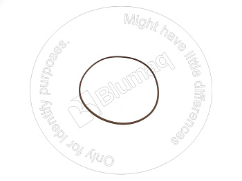 6V3907 ST КОЛЬЦО КРУГЛОГО СЕЧЕНИЯ