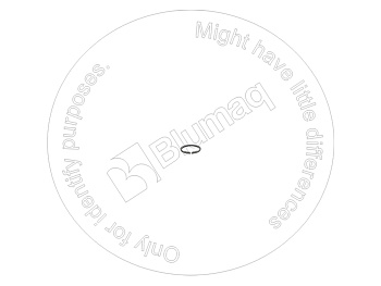 7R5055 ST КОЛЬЦО