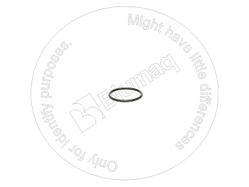 BQ3275228 BQ КОЛЬЦО КРУГЛОГО СЕЧЕНИЯ