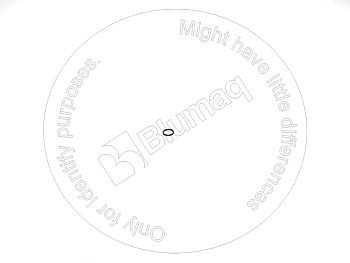 0776294 BQ КОЛЬЦО УПЛОТНИТЕЛЬНОЕ