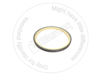 2J4779 ST САЛЬНИК