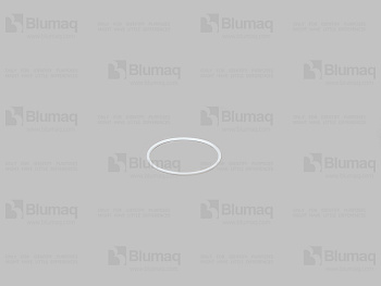 5183168 ST Кольцо уплотнительное пластиковое