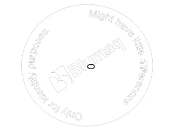 2941849 ST КОЛЬЦО КРУГЛОГО СЕЧЕНИЯ