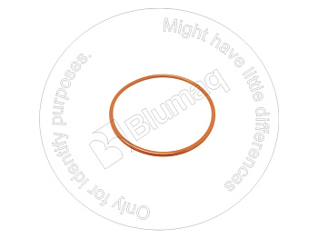 5P4889 ST КОЛЬЦО КРУГЛОГО СЕЧЕНИЯ