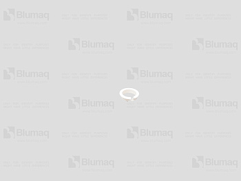 1335253 BQ ПОДШИПНИК