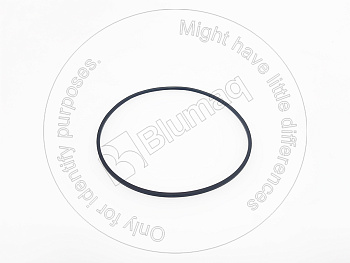 9T8053 ST САЛЬНИК