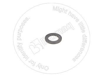 6N4307 BQ ШАЙБА