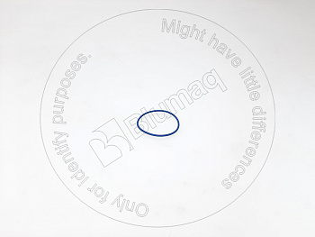 5598721 ST КОЛЬЦО КРУГЛОГО СЕЧЕНИЯ