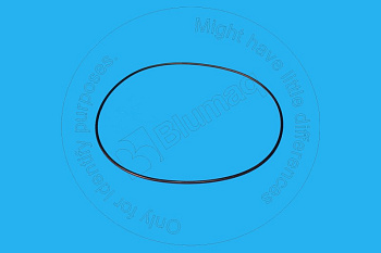 4785779 ST КОЛЬЦО КРУГЛОГО СЕЧЕНИЯ