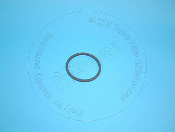 VOE469606 ST САЛЬНИК