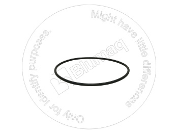 0782012 ST Кольцо уплотнительное