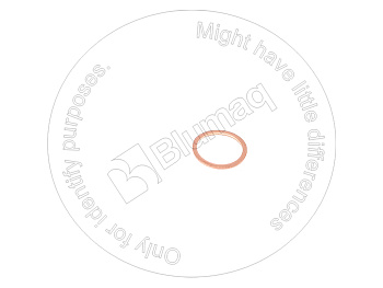 R916462052 OR КЛОЛЬЦО УПЛОТНИТЕЛЬНОЕ