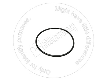 0952568 ST КОЛЬЦО КРУГЛОГО СЕЧЕНИЯ