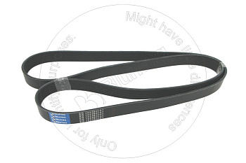 2884641 BQ Ремень (8 ребер)