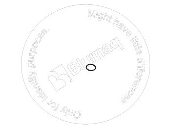 1232343 ST КОЛЬЦО КРУГЛОГО СЕЧЕНИЯ