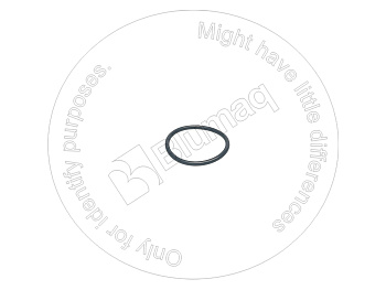 0781979 ST КОЛЬЦО КРУГЛОГО СЕЧЕНИЯ