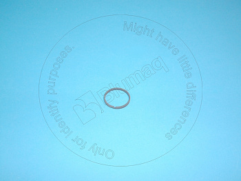 VOE795335 ST САЛЬНИК