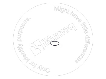 0963044 ST КОЛЬЦО КРУГЛОГО СЕЧЕНИЯ