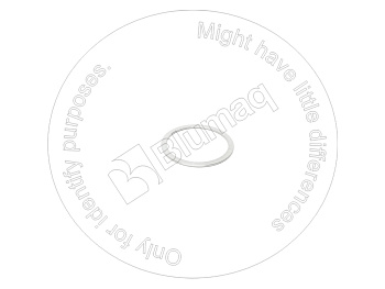 R988090768 BQ ШАЙБА