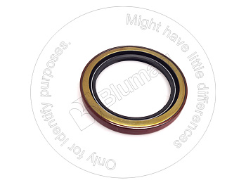 0773275 ST САЛЬНИК