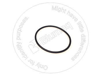 0951560 ST КОЛЬЦО КРУГЛОГО СЕЧЕНИЯ