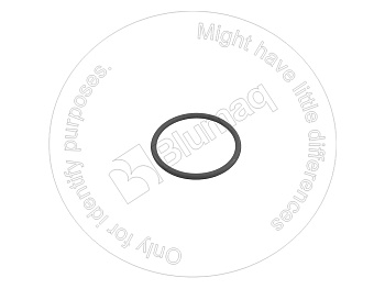 3139396R1 OR КАЛИБР ANILLO