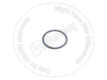 3L6917 OE КОЛЬЦО