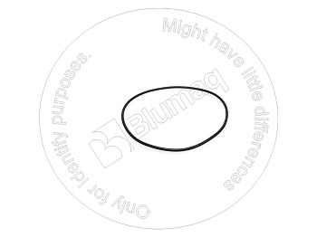 0958332 ST КОЛЬЦО КРУГЛОГО СЕЧЕНИЯ