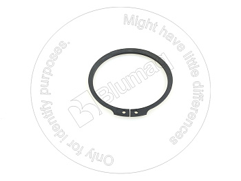304735C1 OR КОЛЬЦО