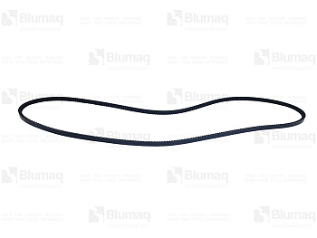 1690146 BQ BELT
