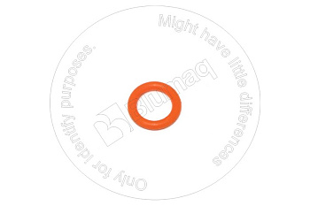0700062010 ST КОЛЬЦО КРУГЛОГО СЕЧЕНИЯ
