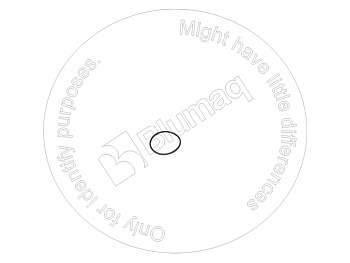 2006928 ST КОЛЬЦО КРУГЛОГО СЕЧЕНИЯ