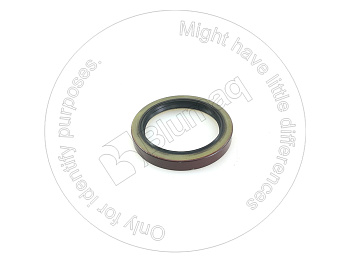 7B8821 ST САЛЬНИК