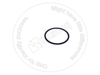 7073530800 OE RING