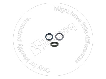 2S8966 BQ КОМПЛЕКТ ШАЙБ