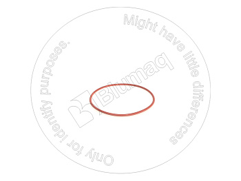 0700065170 ST КОЛЬЦО КРУГЛОГО СЕЧЕНИЯ