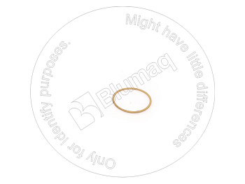 1090080 ST КОЛЬЦО КРУГЛОГО СЕЧЕНИЯ