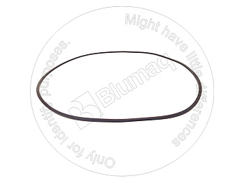 8R9207 ST СЕГМЕНТ