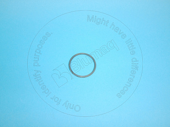 1T1004 OE СЕГМЕНТ