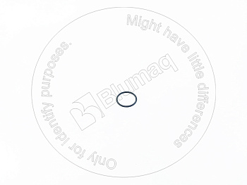 3823648402 OR КОЛЬЦО КРУГЛОГО СЕЧЕНИЯ