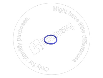 VOE13968575 ST КОЛЬЦО КРУГЛОГО СЕЧЕНИЯ