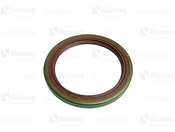 6V0653 ST САЛЬНИК